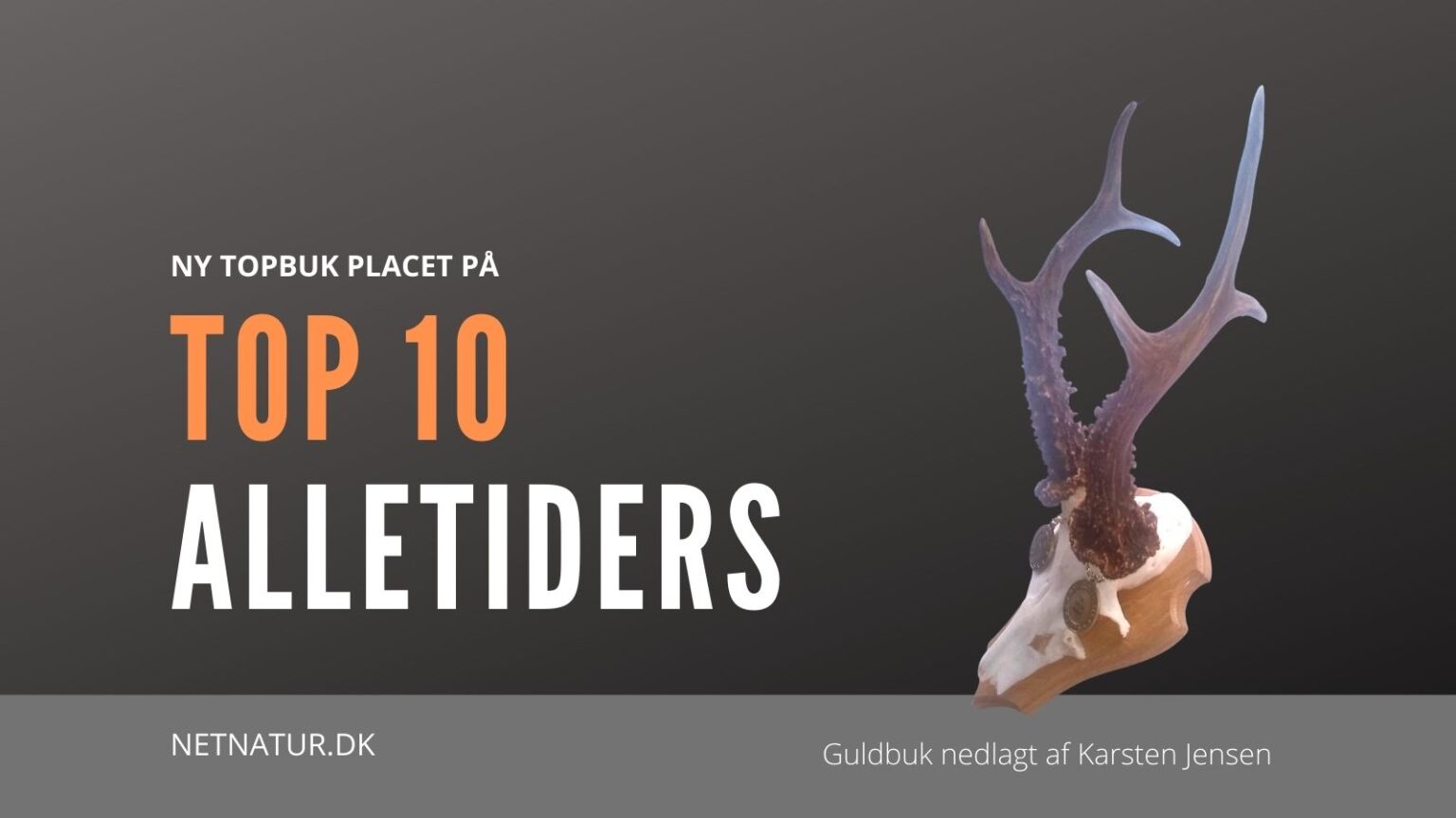 Dansk buk på Top 10 top 10 buk