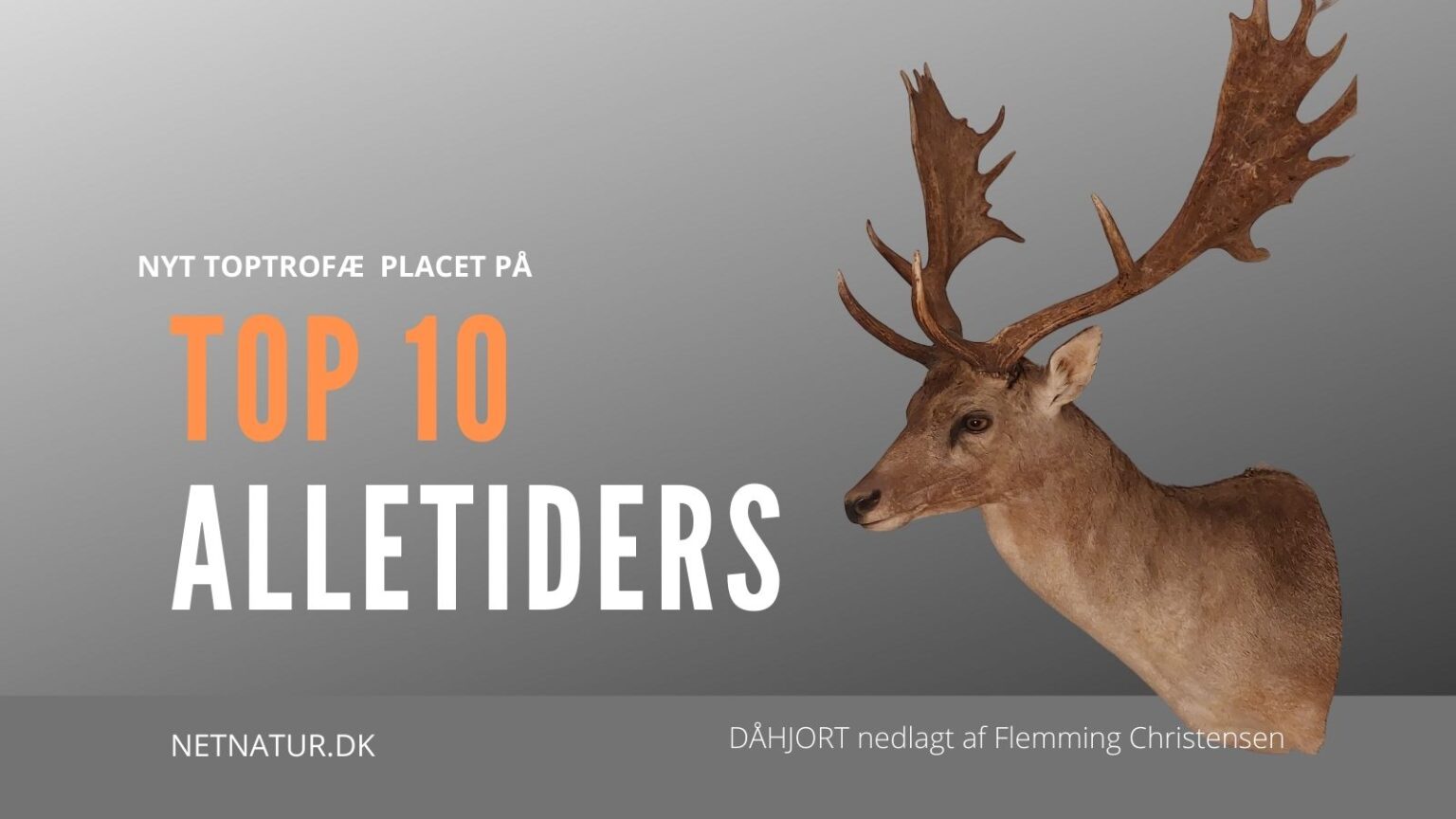 Ny dansk dåhjort på TOP 10 Alletiders