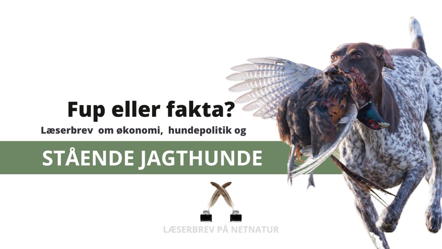 Fup eller fakt: Læserbrev om DJ og de stående jagthunde læserbrev jagthund