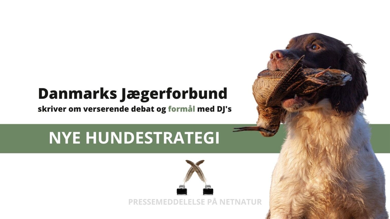 Pressemeddelelse om DJ´s nye hundestrategi hundestrategi