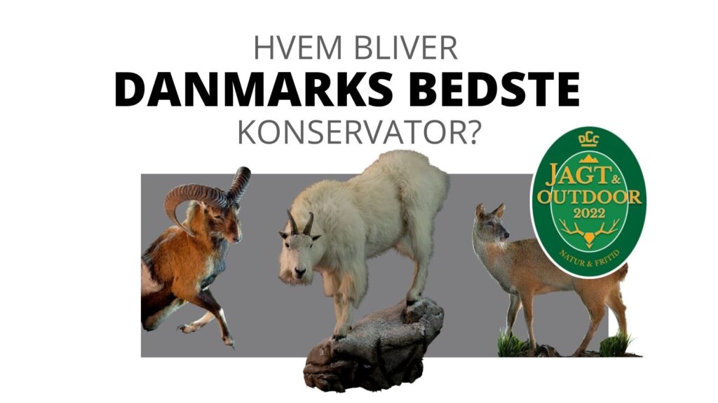 Nordiske Konservator-mesterskaber kan opleves under Jagt & Outdoor 2022
