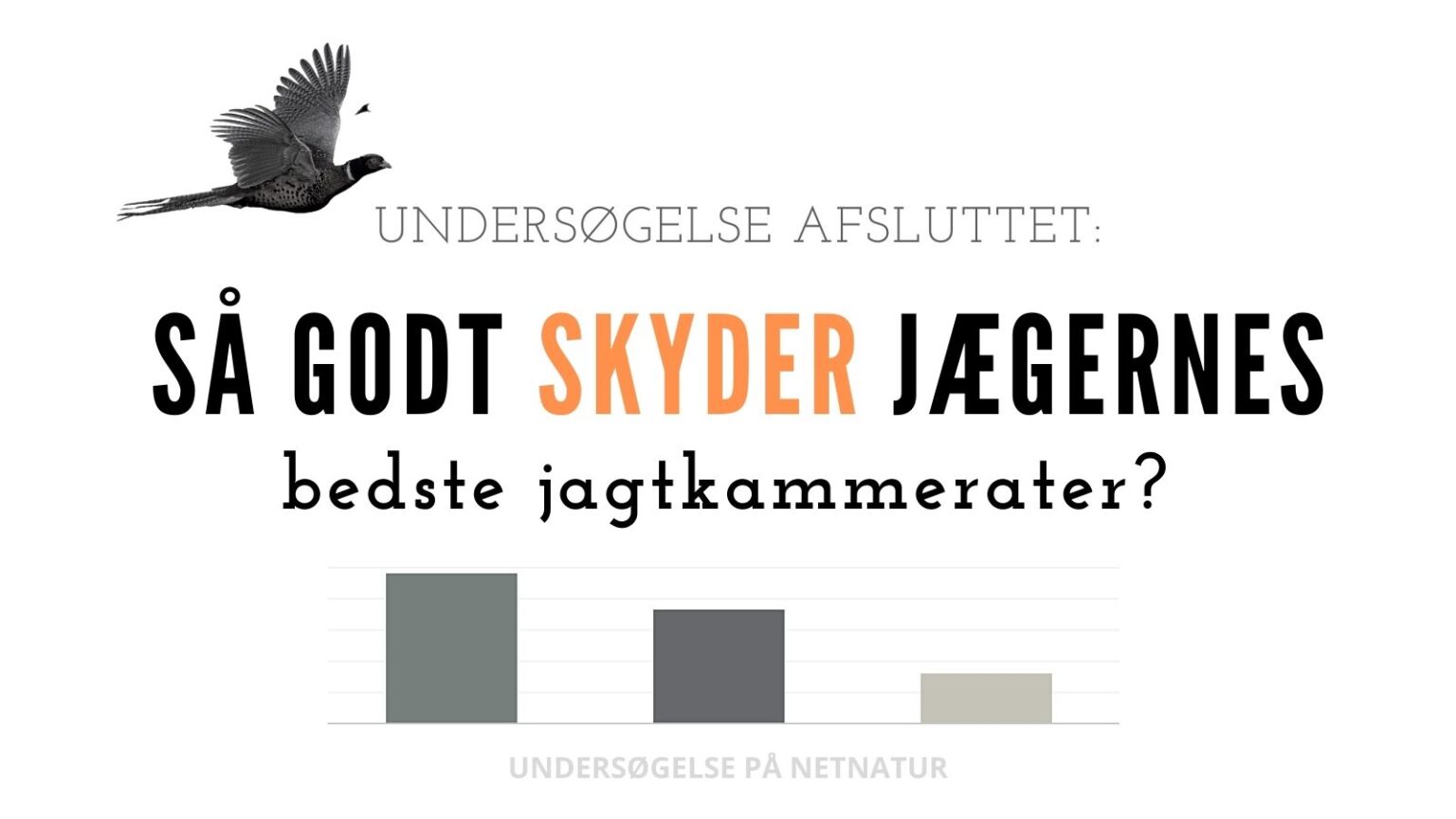 Hvor godt skyder du?