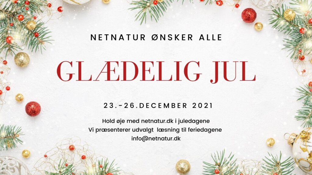 netnatur jul
