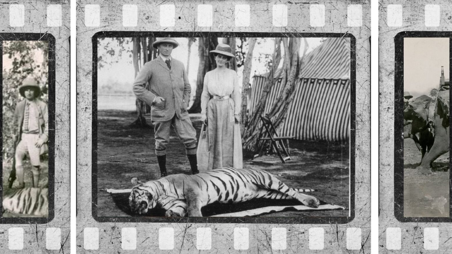 Tigerjagt anno 1924 tigerjagt