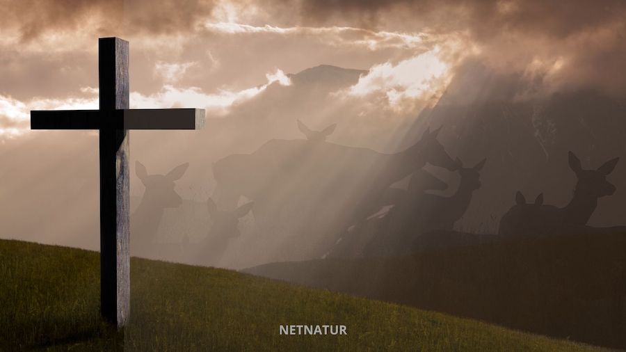 Historien bag jagtulykken i Karup