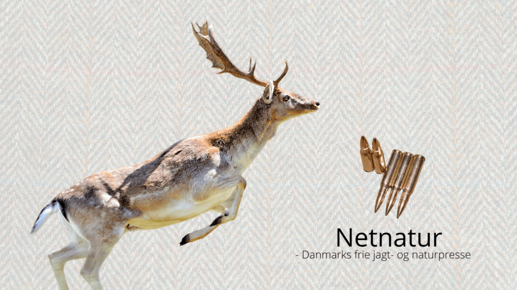 .308Winchester - eks. NATO-soldat i Tweed