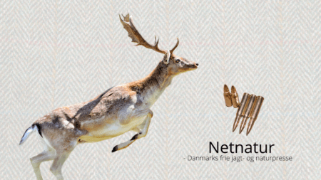 .308Winchester - eks. NATO-soldat i Tweed