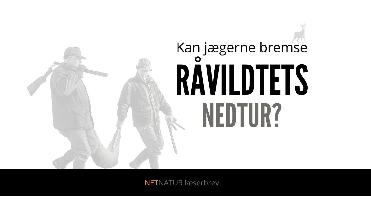 Bør vi skyde færre råer, og er dét nok? Bør vi skyde færre råer