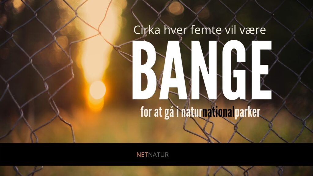 ko og hest i naturnationalparker