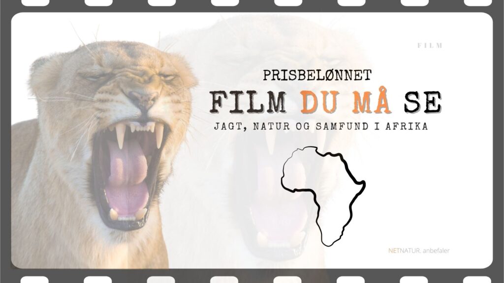 Jagt og samfund i Afrika