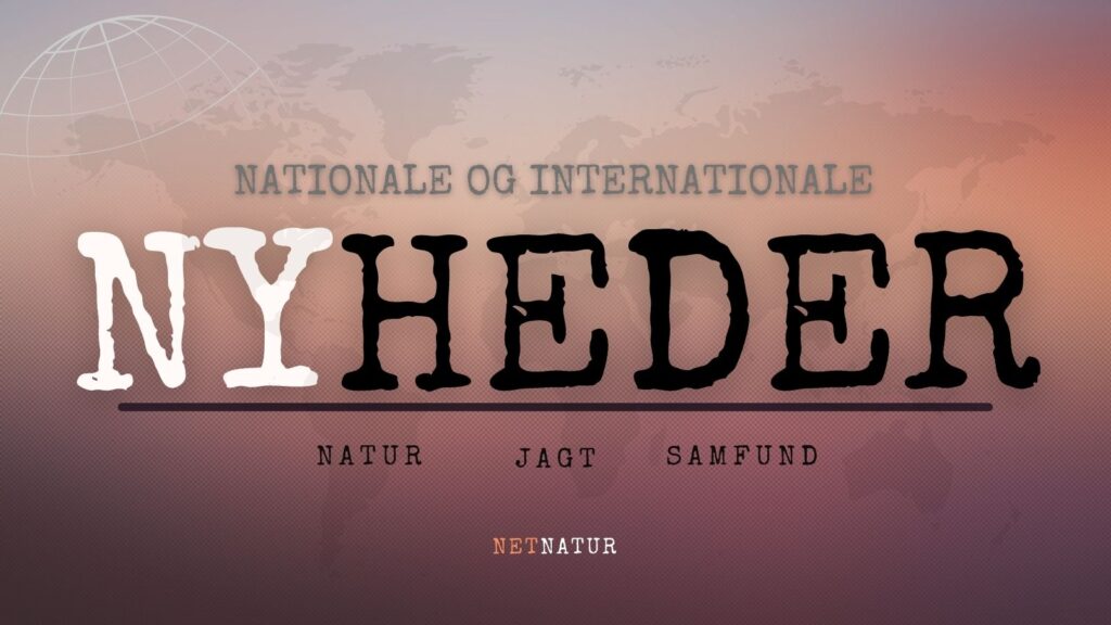 Nyheder netnatur