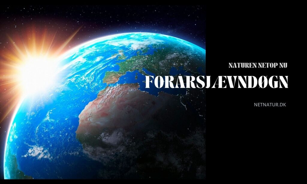 Naturen netop nu - Forårsjævndøgn