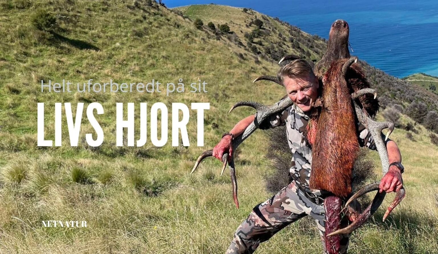 Hans livs hjort kronhjort New Zealand