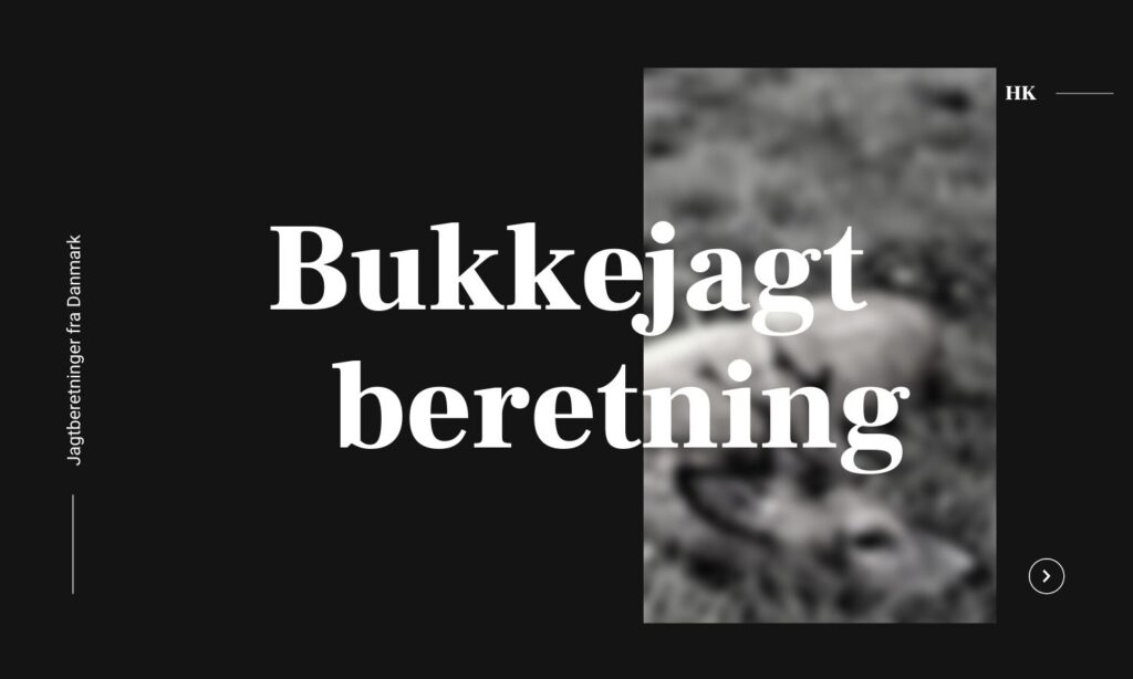 Jagtoplevelse med seksender