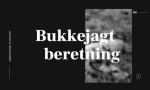 Jagtoplevelse med seksender