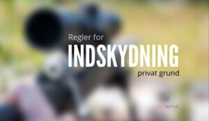 Indskydning af riffel på privat grund
