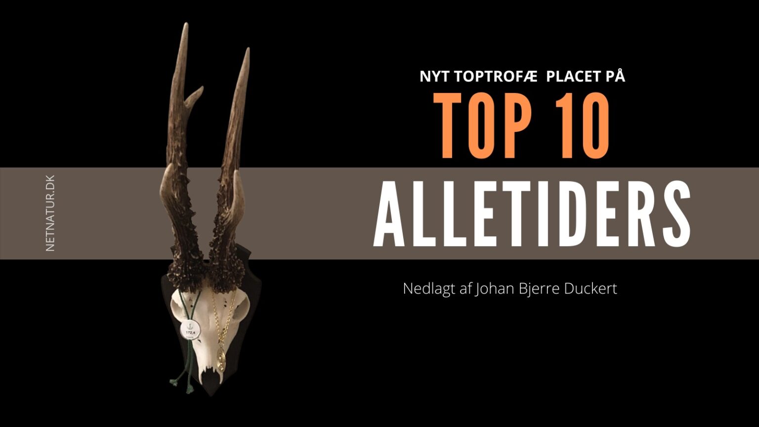 Svensk top 10 buk