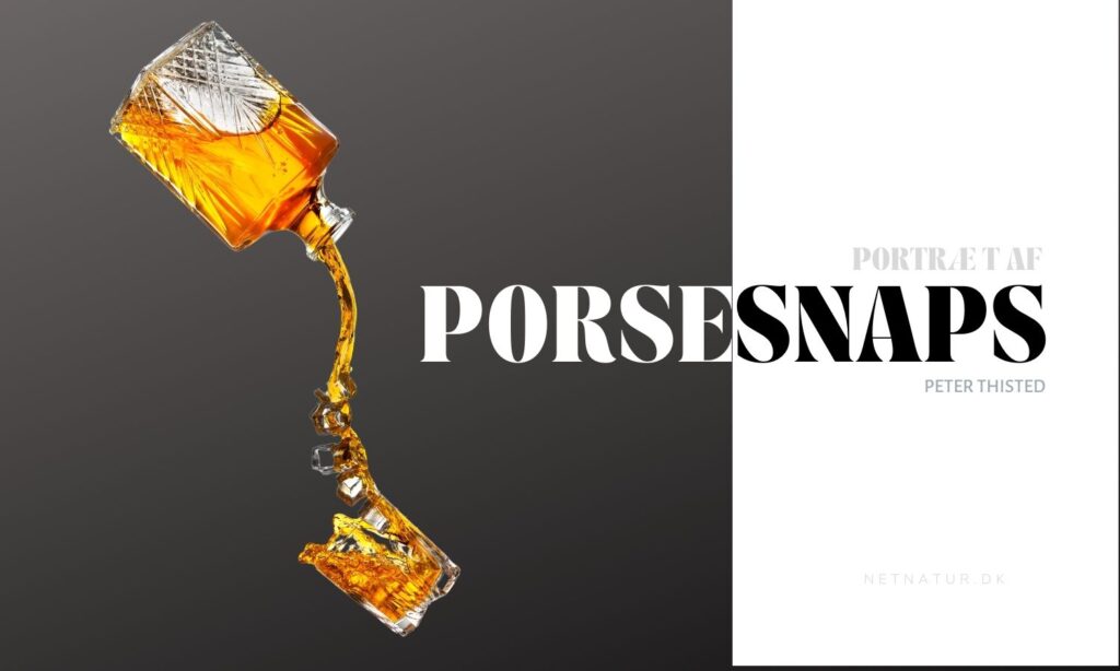 Lav din egen porse-snaps