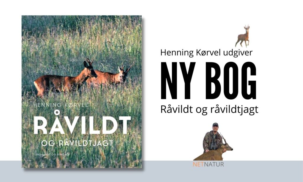 Råvildt og råvildtjagt
