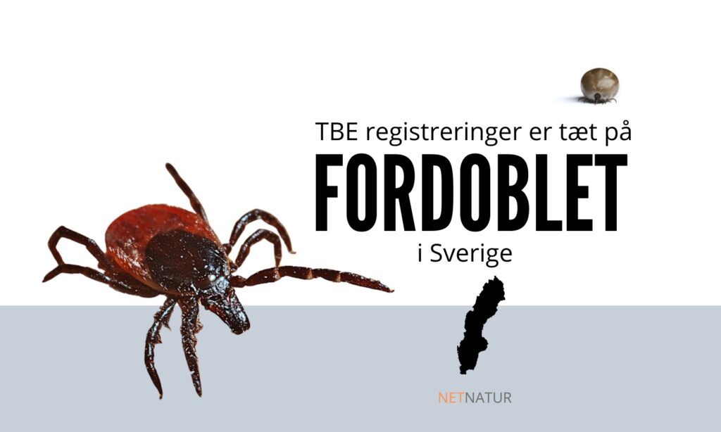 TBE Sverige