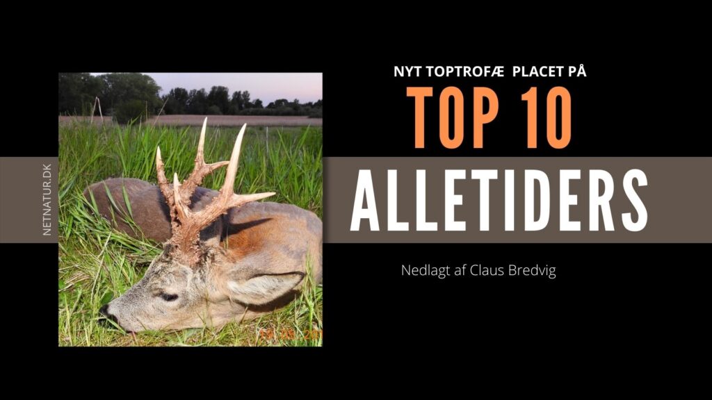 Sjælland: 3 TOP 10 bukke på listen