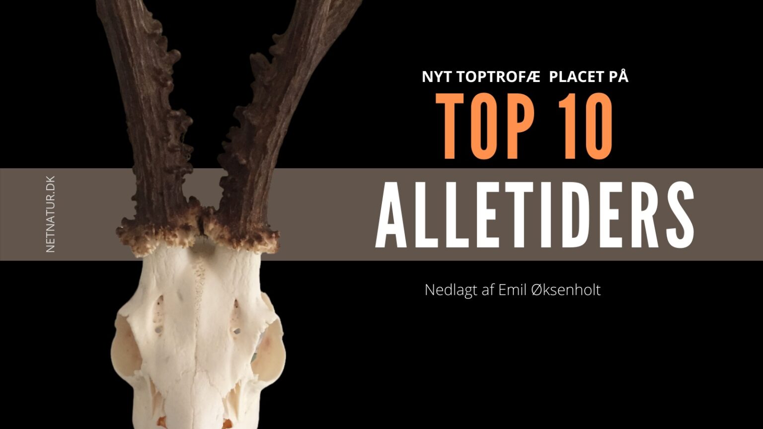 TOP 10 Tyskland
