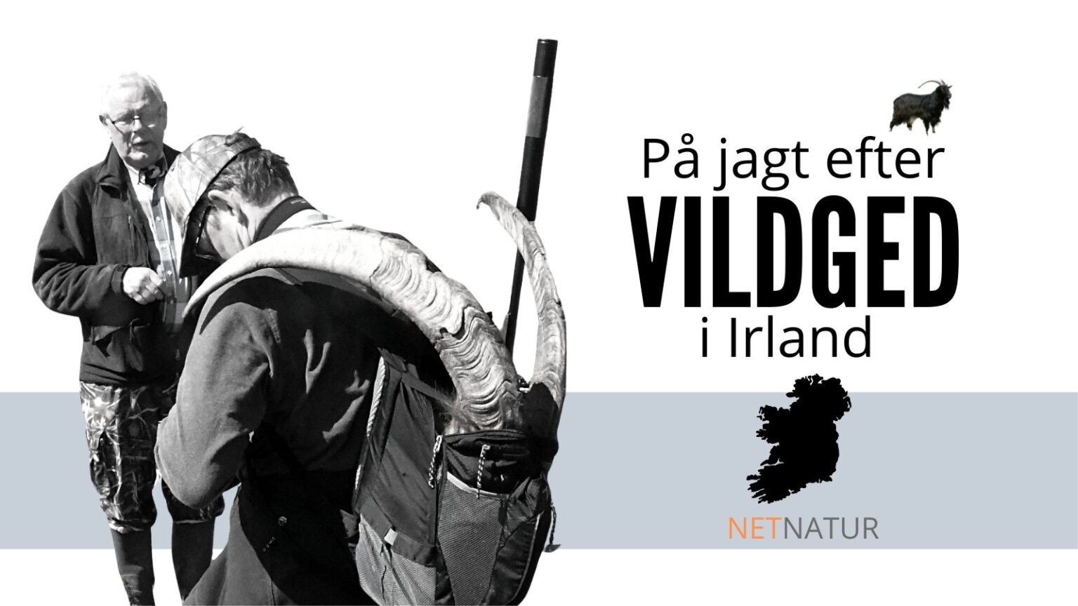 Min irske vildged Vildged Irland