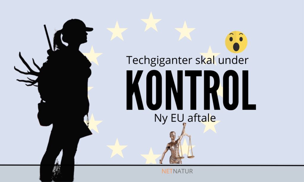 retsakten for digitale tjenester