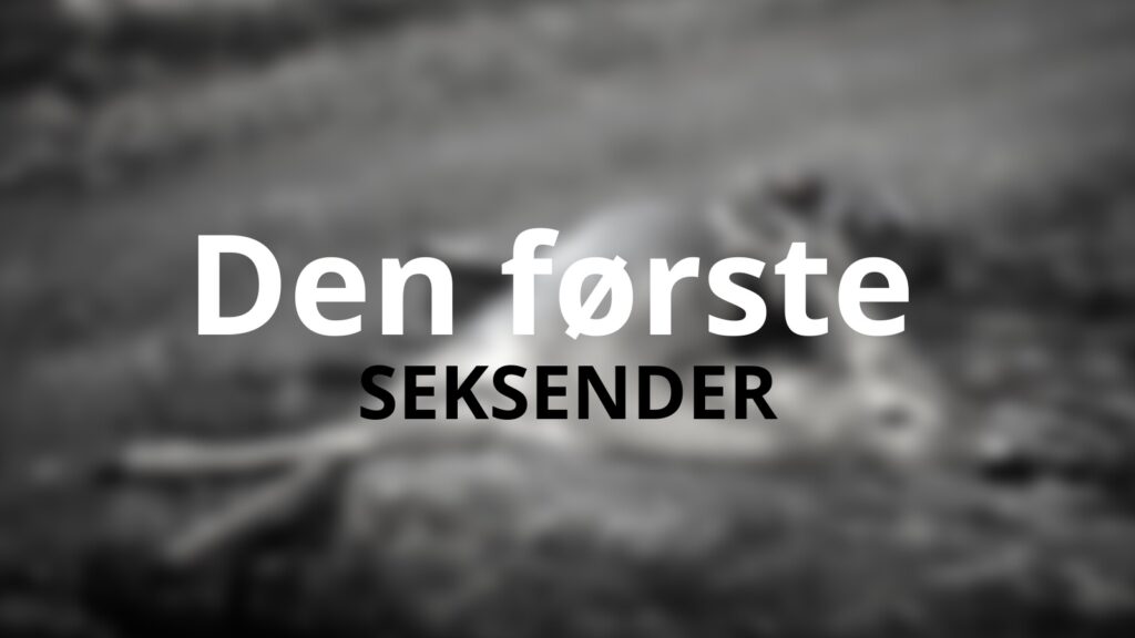 Den første seksender seksender