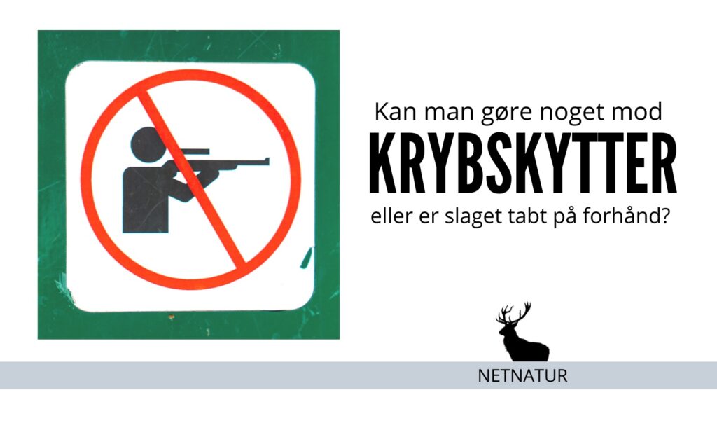 Hvad kan man stille op imod krybskytteri? Krybskytteri