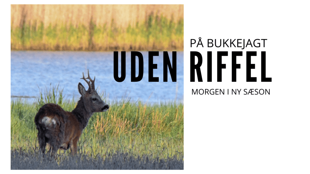 Bukkestart med kamera