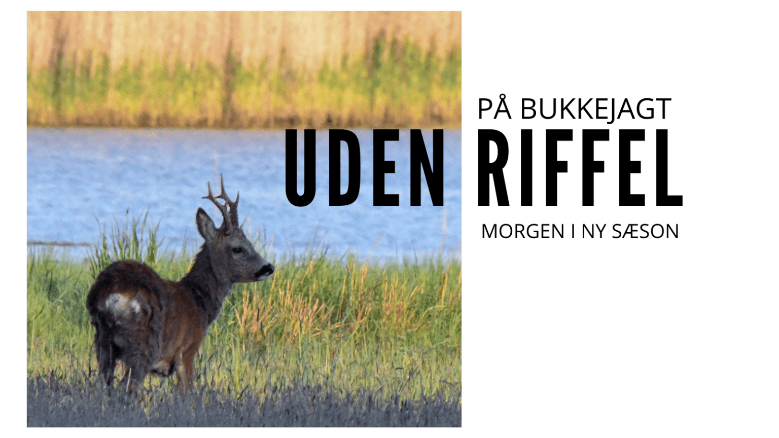 Bukkestart med kamera