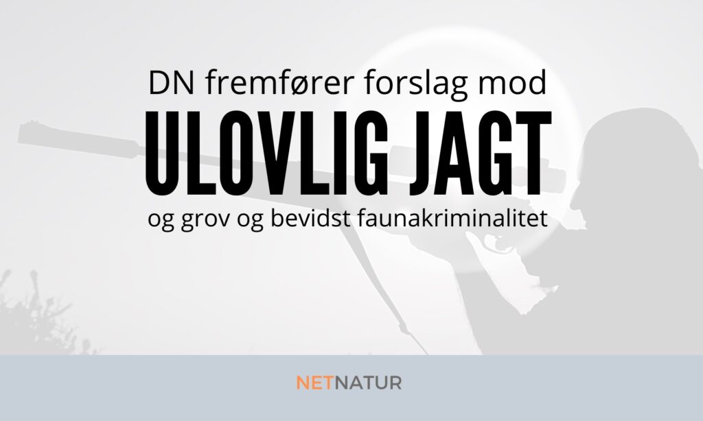 Fratagelse af jagttegn Fratagelse af jagttegn