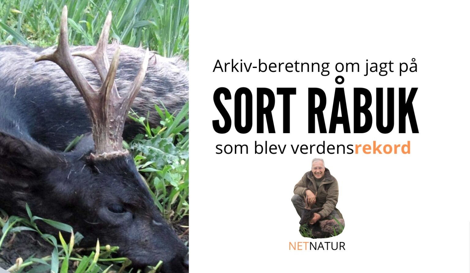 Sort buk som verdensrekord sort råbuk