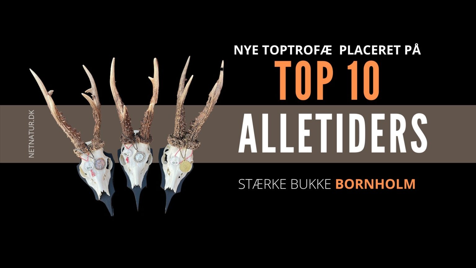 TOP 10 Bornholm TOP 10 Bornholm
