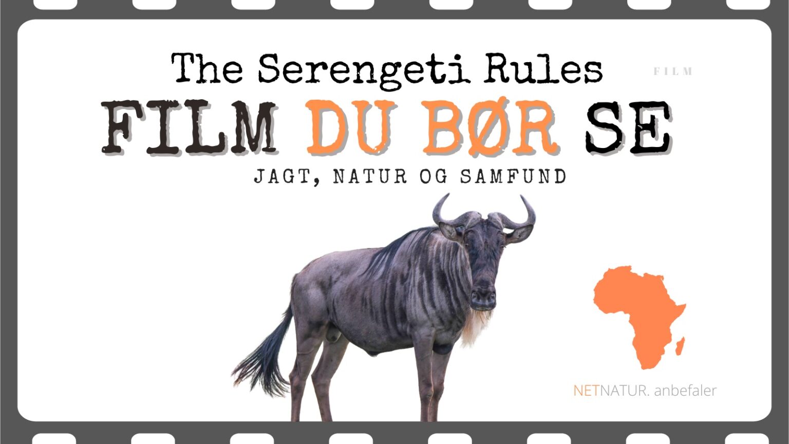 The Serengeti Rules The Serengeti Rules
