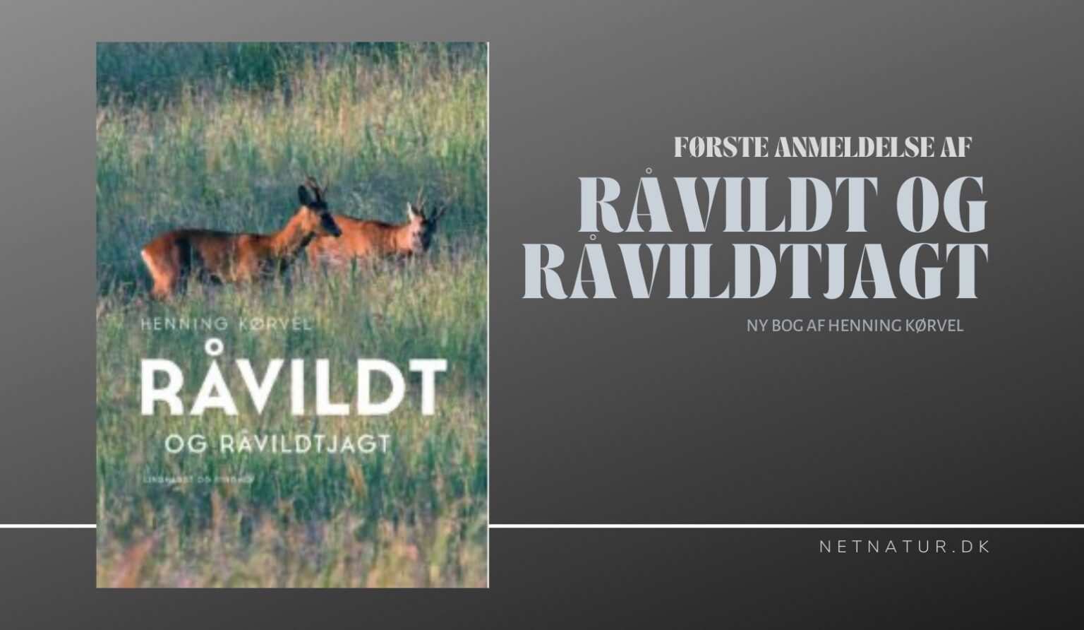 Første anmeldelse af Råvildt og råvildtjagt Første anmeldelse af Råvildt og råvildtjagt