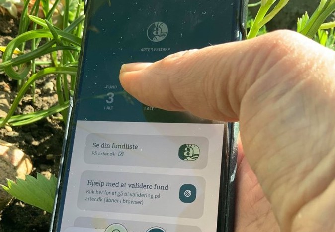 Over 8000 arter indberettet på et år Over 8000 arter indberettet på et år