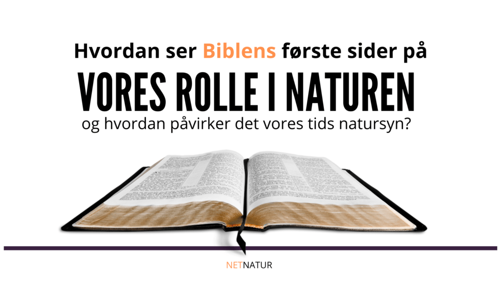 Biblen og natursyn Bibelsafari