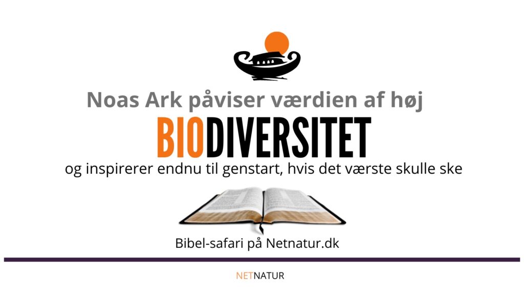 Bibelen og biodiversitet Bibelen og biodiversitet