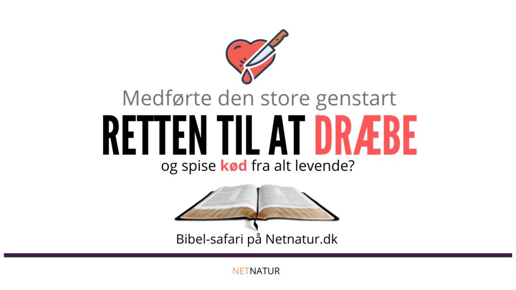 Bibelen om frygt og retten til at dræbe Bibelen, kød og drab