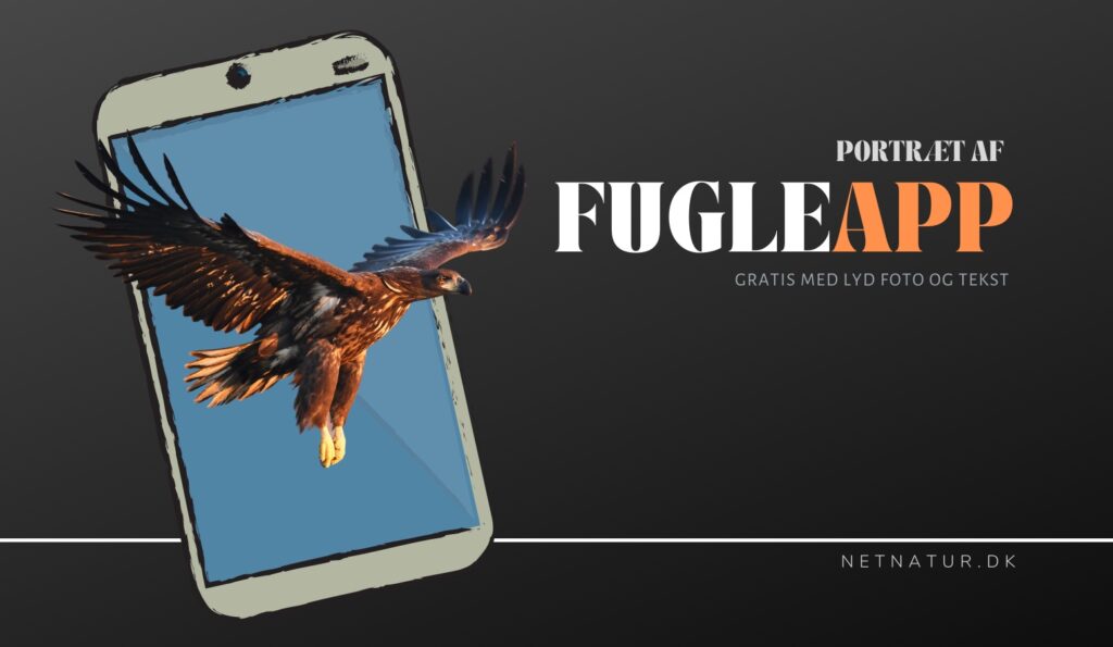 Kender du FugleApp'en?