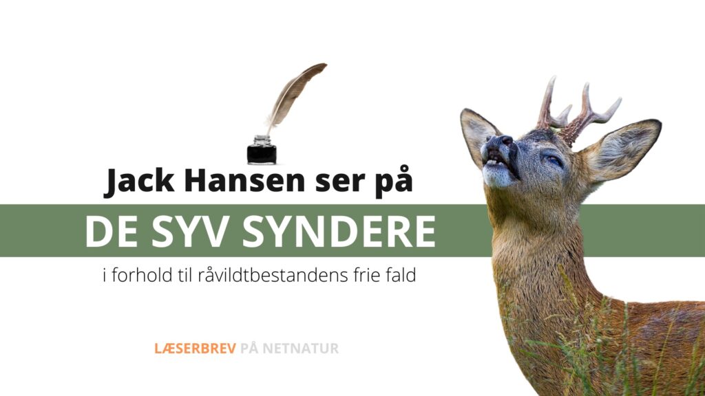 råvildt og syv syndere