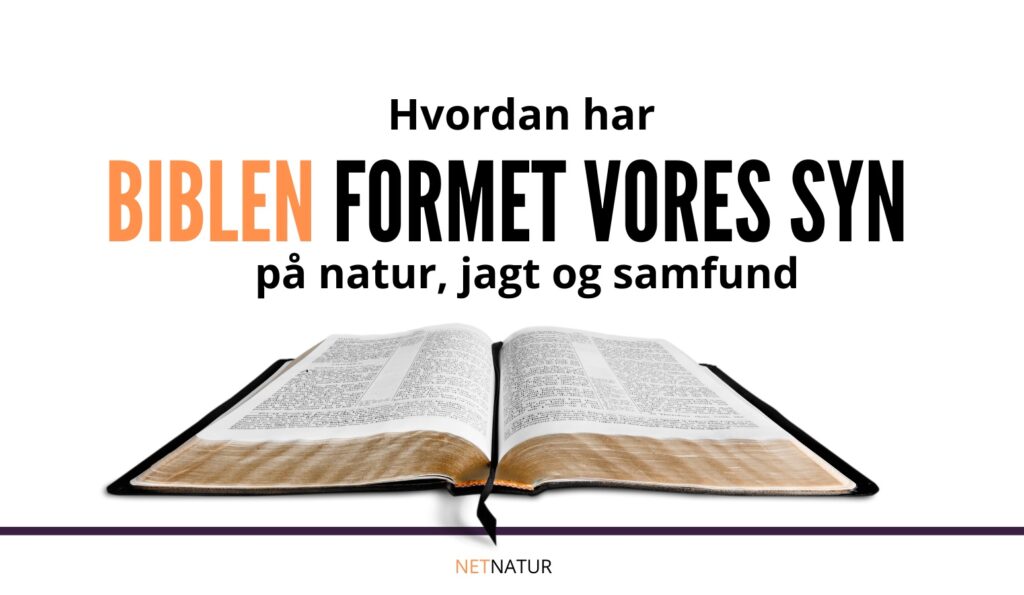 Biblen og naturen
