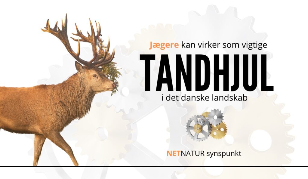 Jagtens små tandhjul