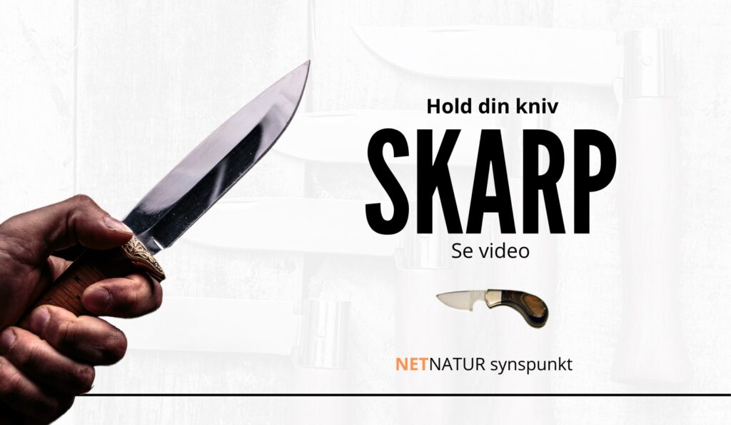 skarp jagtkniv hvordan