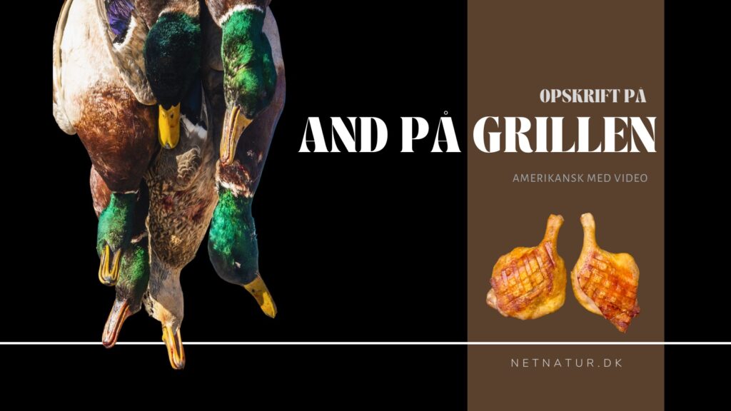 And på grillen med æble og rørsukker