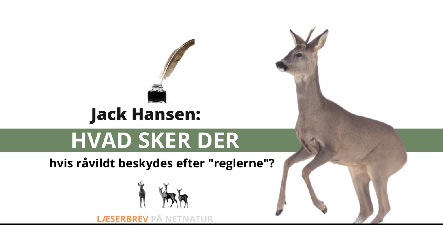 Råvildt afskydning