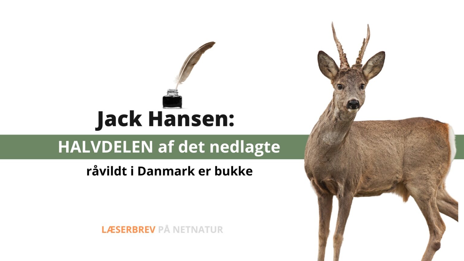 skudt råvildt