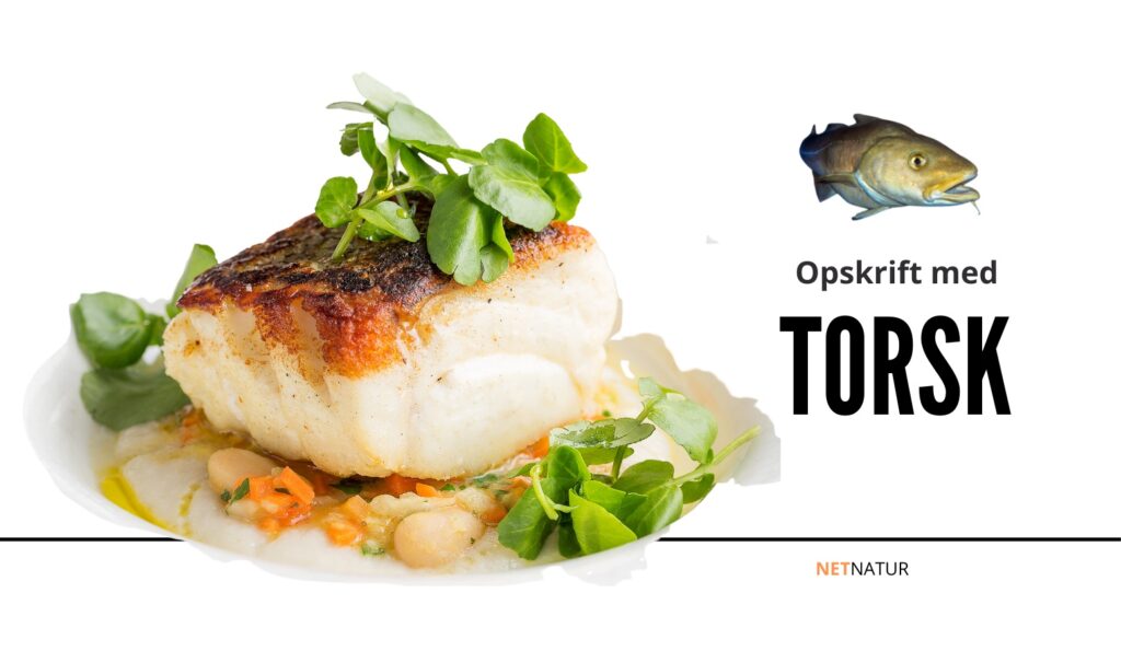 torsk